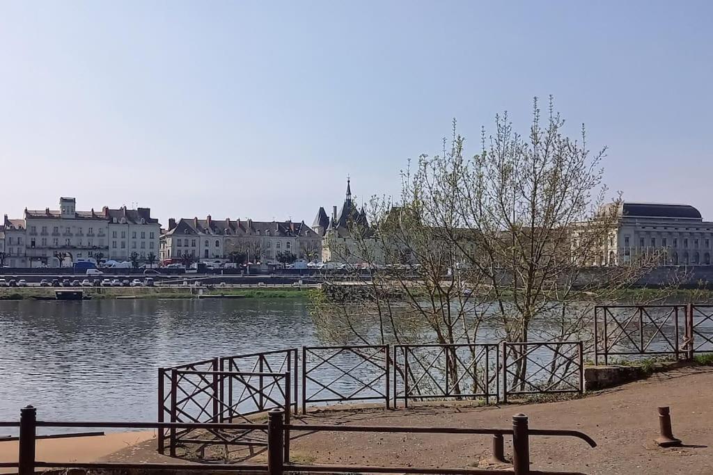 Les Marronniers Appartement Centre Saumur Bord De Loire المظهر الخارجي الصورة