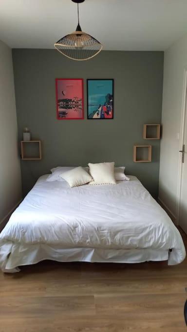 Les Marronniers Appartement Centre Saumur Bord De Loire المظهر الخارجي الصورة